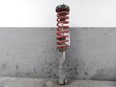 Amortiguador trasero con muelle espiral