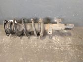 Front shock absorber with coil spring