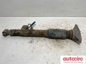 Stoßdämpfer hinten