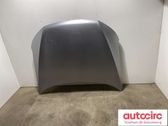 Motorhaube