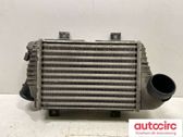 Intercooler radiator