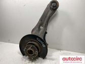 Rear wheel hub spindle/knuckle