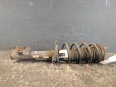 Front shock absorber with coil spring