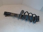Front shock absorber with coil spring
