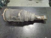 Rear air suspension bag/shock absorber