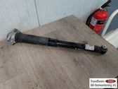 Stoßdämpfer hinten