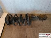 Amortiguador delantero con muelle espiral