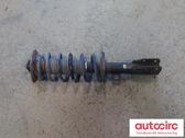 Front shock absorber with coil spring
