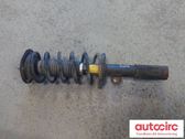 Front shock absorber with coil spring