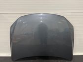 Motorhaube