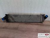 Intercooler radiator