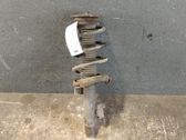 Amortiguador delantero con muelle espiral