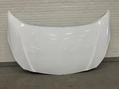Engine bonnet/hood