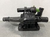AGR Thermostat