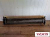 Intercooler radiator