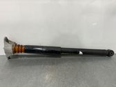 Rear shock absorber/damper