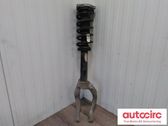 Front shock absorber with coil spring