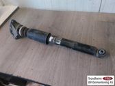 Stoßdämpfer hinten