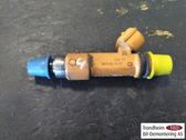 Injektor Einspritzdüse