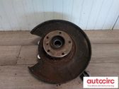 Rear wheel hub spindle/knuckle