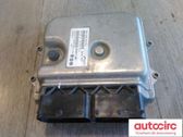 Engine control unit/module ECU