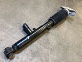Rear shock absorber/damper