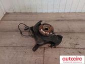 Front wheel hub spindle knuckle