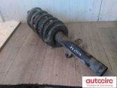 Front shock absorber with coil spring