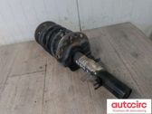 Front shock absorber with coil spring