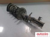 Front shock absorber with coil spring