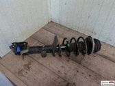 Amortiguador delantero con muelle espiral