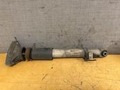 Rear shock absorber/damper