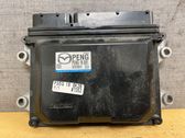 Engine control unit/module ECU