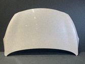 Motorhaube