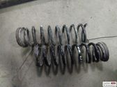 Rear coil spring rubber mount