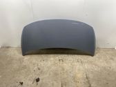 Engine bonnet/hood