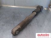 Rear shock absorber/damper
