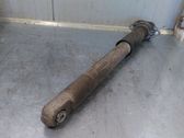 Rear shock absorber/damper