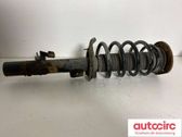 Front shock absorber with coil spring