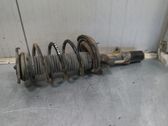Front shock absorber with coil spring