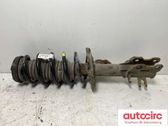 Front shock absorber with coil spring