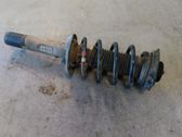 Front shock absorber with coil spring
