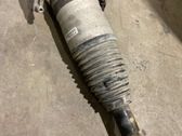 Rear air suspension bag/shock absorber