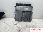 Engine control unit/module ECU