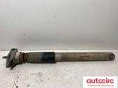 Rear shock absorber/damper