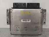 Engine control unit/module ECU