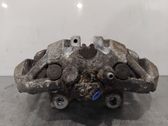 Bremssattel hinten