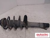 Front shock absorber with coil spring