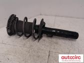 Front shock absorber with coil spring