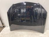 Motorhaube